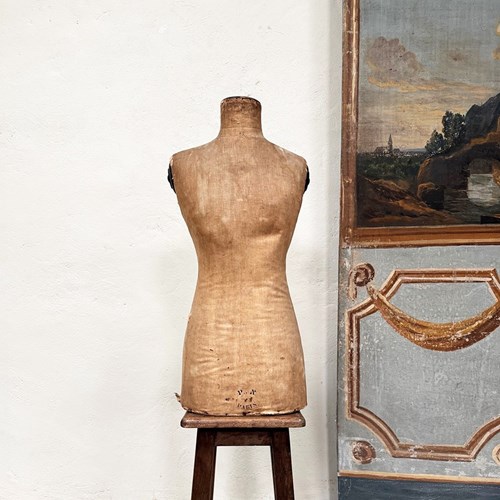 Mannequin Torso