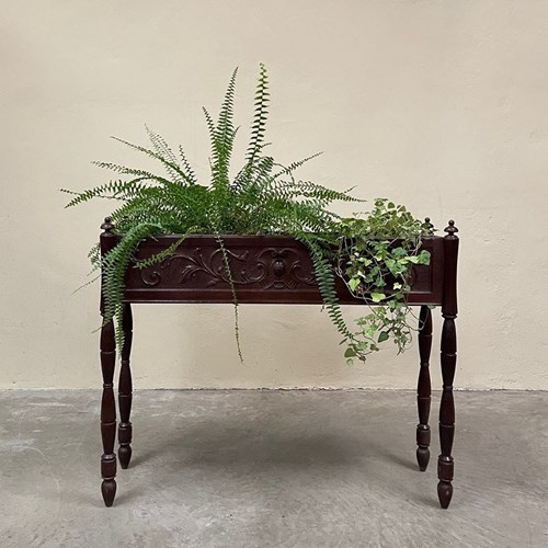 Wide Indoor Planter