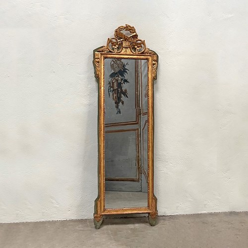 Slim Painted Mirror With Crest