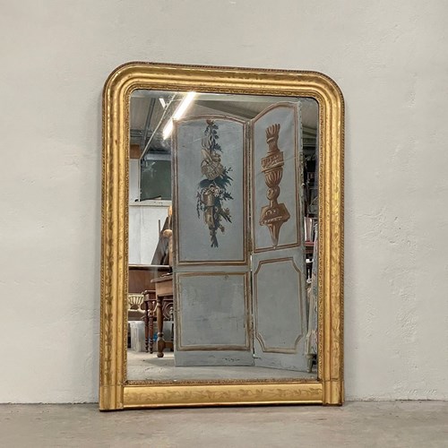 Pretty Water Gilded Mirror