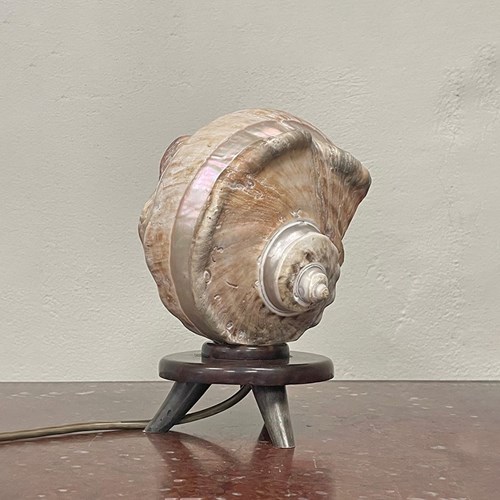 Shell Table Lamp