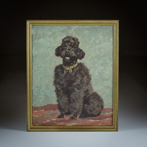 Early 20Th Century Oil On Board Of A Poodle By Henry Sene