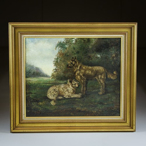 Late 19Th Century Dogs Oil On Canvas