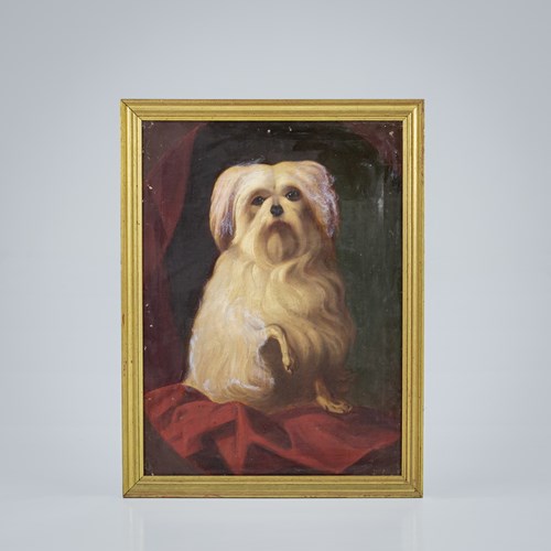 19Th Century Dog Portrait
