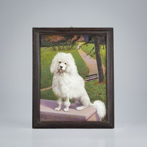 Early 20Th Century Oil On Canvas Dog Portrait Of A White Poodle