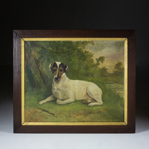 Late 19Th Century Naive Oil On Canvas Jack Russell Portrait