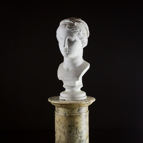 Early 20Th Library Plaster Bust