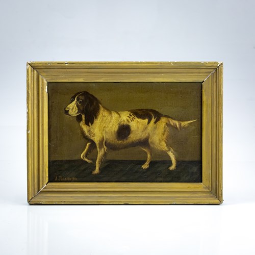 Primitive Oil On Canvas Of A Spaniel