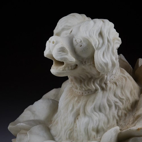 Carved Marble Lagotto Romagnolo Dog Wall Fountain Spout