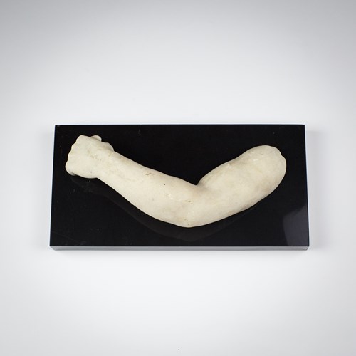 Grand Tour Marble Arm Fragment