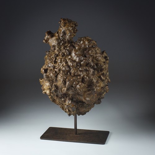 Large Natural Burl Wood Sculpture