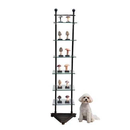 English Shop Display