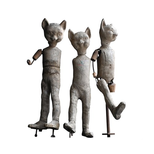 Three Cats