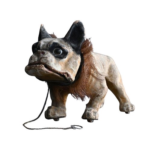Growling Dog