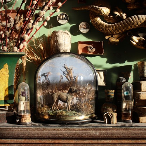 Victorian Miniature Dog 