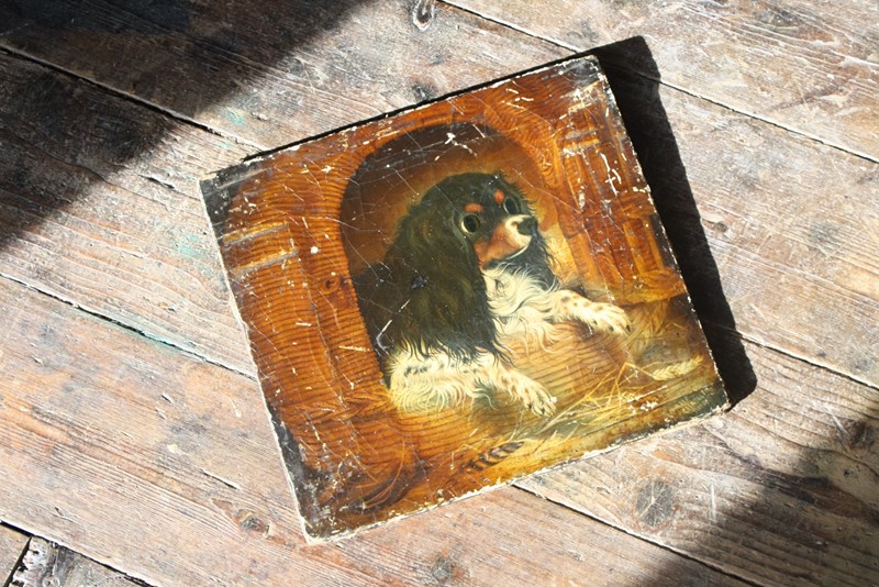 19th C Oil on Canvas Cavalier King Charles Spaniel-the-school-for-scandal-img-0613-main-637898034890080222.jpg