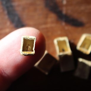 Pulgas Vestidas (Fleas)