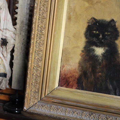 Circle Of Henriette Ronner-Knip, Mischievous Black Cat 