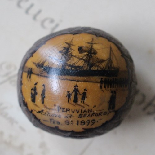 Shipwreck Tagua Nut "The Peruvian" 1899 E.E.Evans