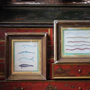 Circa 1840 Zoological Ink & Waterco...