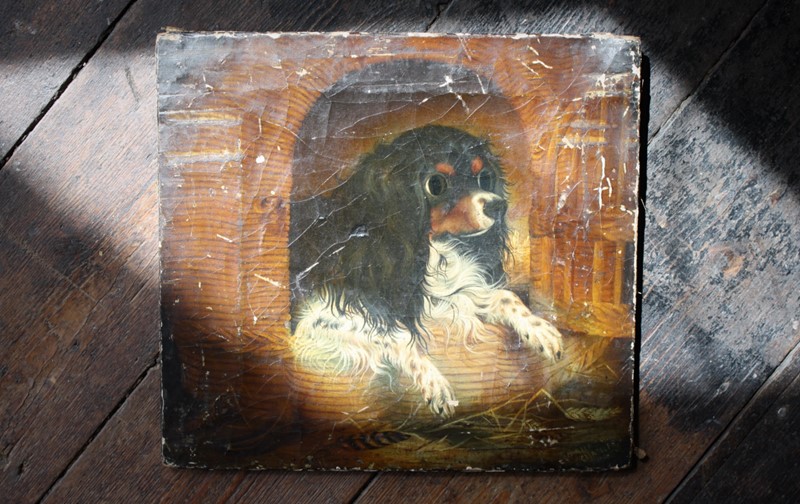 19th C Oil on Canvas Cavalier King Charles Spaniel-the-school-for-scandal-img-3436-main-637898035138982060.jpg