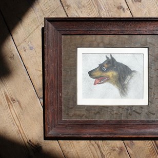 Odd Dog "Job" Pencil On Paper 