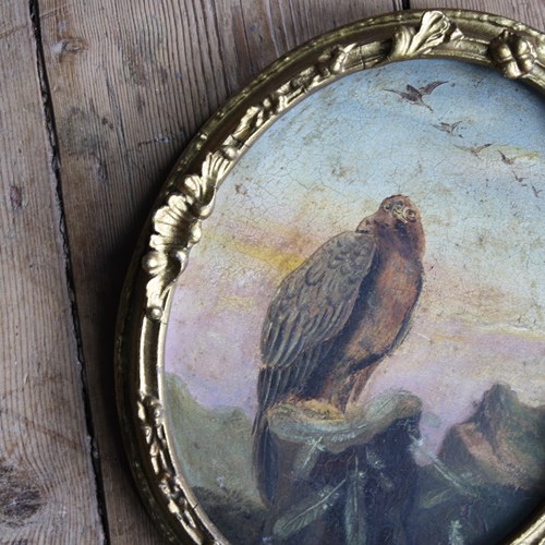 19Th Century Oil On Tin Golden Eagle 