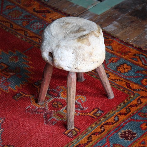 19Th Century Fossilised Vertebrae Stool 