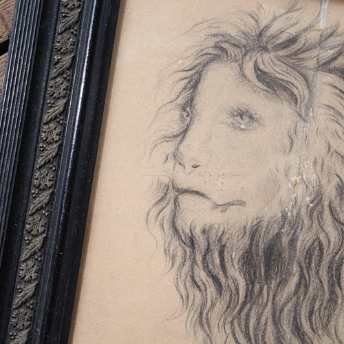 Anthropomorphic Pencil Drawing Of Lion 1886