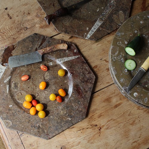 Collection Of Orthoceras & Ammonite Fossil Plates