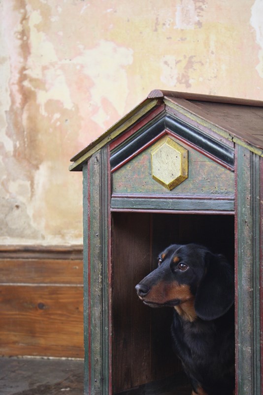 19Th Century Dog Kennel -the-school-for-scandal-img-8070-main-638056981920784601.jpg