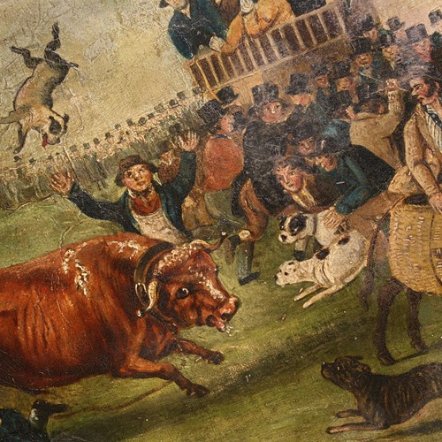"Bull Broke Loose", Bull Baiting Oil On Canvas 