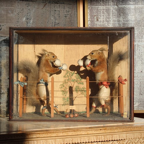 19Th Century Boxing Squirrels By Edward Hart 