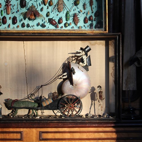 19Th Century Anthropomorphic Chameleon & Crustacean Scene 