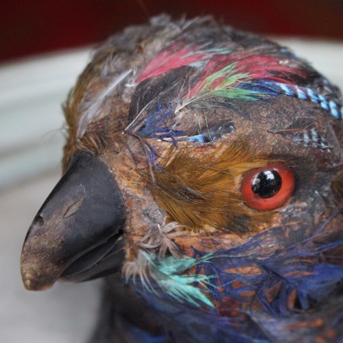 Early 20Th Century Parrot Ink Well 
