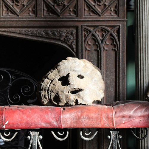 Fog Eater Polypore Fungi Mask 