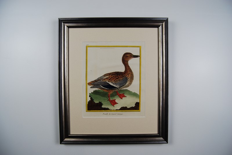 18Th Century Ducks - A Gallery Wall-tiger-lily-art-02740141-ce12-474d-9aa1-d08b7bb4f800-main-637884661377842409.jpeg