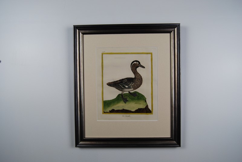 18Th Century Ducks - A Gallery Wall-tiger-lily-art-38222a27-a178-4f6d-96de-3cac712873a3-main-637884661431436207.jpeg