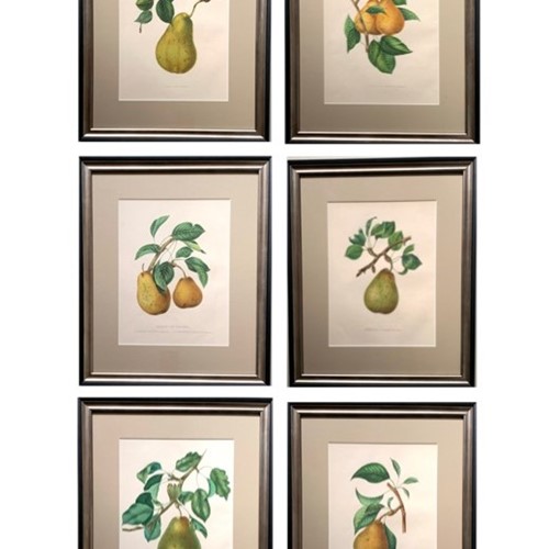 A Set Of 6 19Th Century Pears