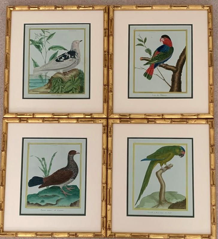 18Th Century Birds-tiger-lily-art-img-0290-main-638277051028114808.jpeg