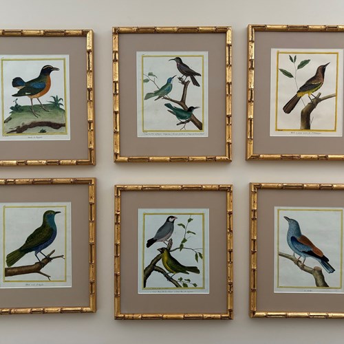 6 Birds By Martinet