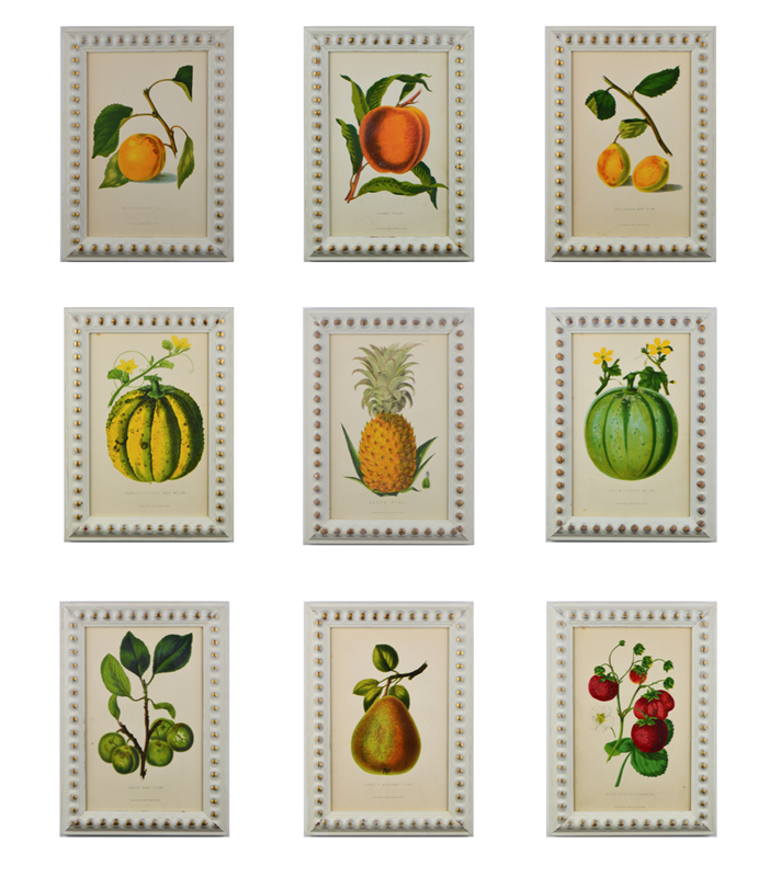 A Set of Fruits by G. Severyns -tiger-lily-art-screenshot-2021-02-20-at-151530-main-637725086676043180.png