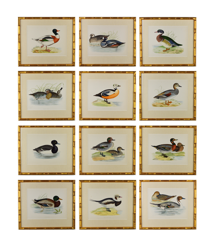Twelve ducks by B.  Morris -tiger-lily-art-screenshot-2021-04-02-at-125841-new-main-637724979493941331.png