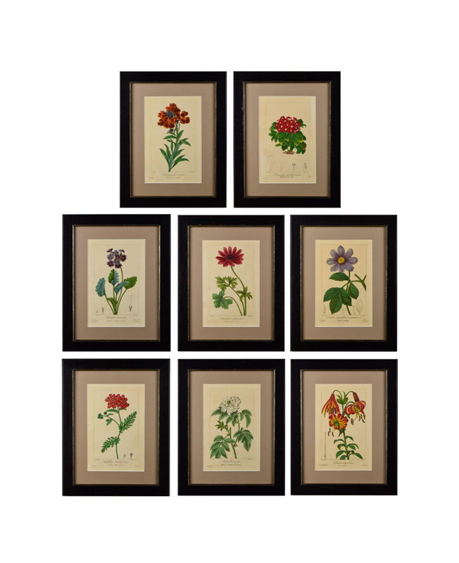 A set of 8 floral engravings by bessa-tiger-lily-art-screenshot-2021-04-25-at-144357-main-637724926681322846.png