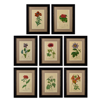 A set of 8 floral engravings by bessa