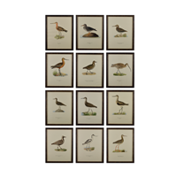 A Set of 12 Swedish Water Birds by Von Wright 