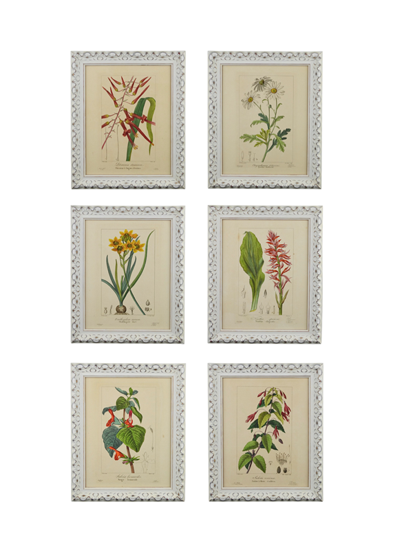 19th Century Bessa Botanicals-tiger-lily-art-screenshot-2021-10-05-at-105024-main-637737342957042305.png