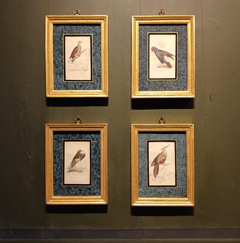 A Set Of Framed Bird Engravings By Edward Lear-tigers-decorative-20221121-142636-main-638049311061748167.jpg