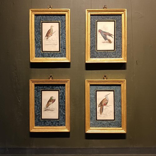 A Set Of Framed Bird Engravings By Edward Lear