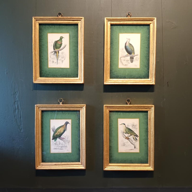 A Set Of Framed Bird Engravings By Edward Lear-tigers-decorative-20221125-114724-main-638050160552971945.jpg